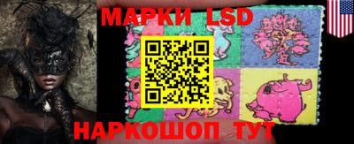 МДПВ Донецк