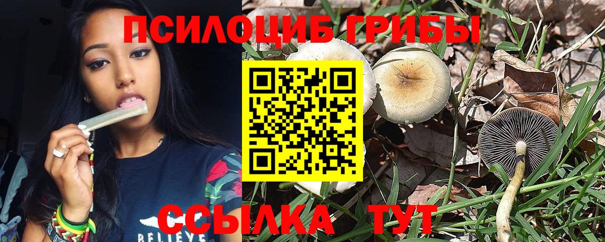 Псилоцибиновые грибы GOLDEN TEACHER Нижнеудинск