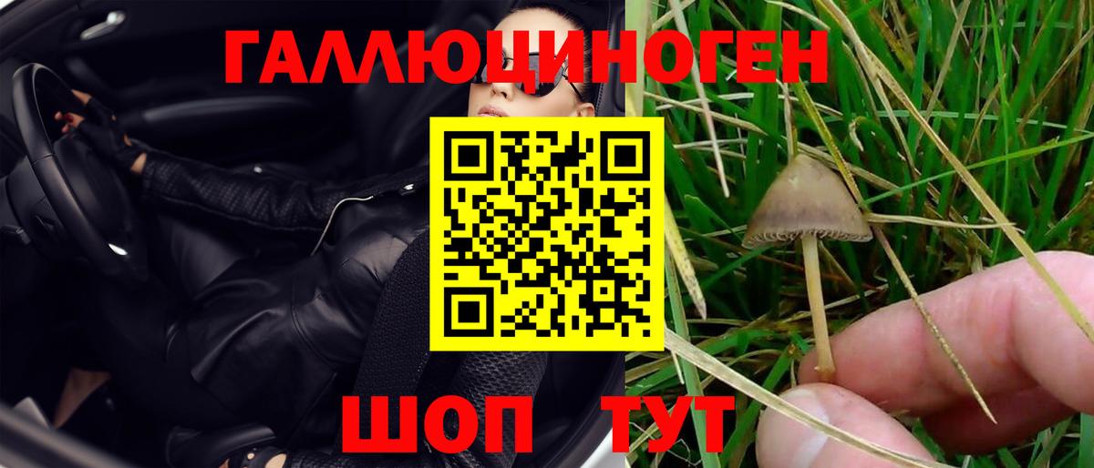 Галлюциногенные грибы MAGIC MUSHROOMS  Вход с VPN  Нижнеудинск 